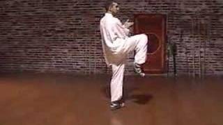 Yang 103 Tai Chi Chuan quotKicking Sectionquot [upl. by Tilly862]