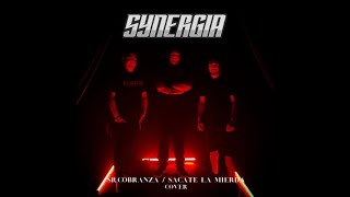 SR COBRANZA  SACATE LA MIERDA  Synergia Cover [upl. by Fulvia756]