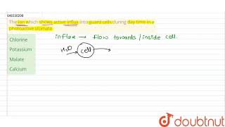 The ion which shows active influx into guard cells during day time in a photoactive stomata  12 [upl. by Maxama]