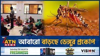 আবারো বাড়ছে ডেঙ্গুর প্রকোপ  Dengue  Dengue Increasing  Dengue Awareness  ATN News [upl. by Isolde]