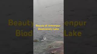 Biodiversity lake ameenpurbest place for kids enjoyment and jogging ameenpurlake ameenpur hydra [upl. by Lotson]