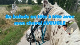 AU GALOP L’AVEUGLE  En balade en tête à tête avec mon cheval AVEUGLE [upl. by Lobell]