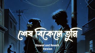 Lofi Version  শেষ বিকেলে তুমি  Shesh bikele Tumi  New Bangla song  Musical Elation [upl. by Deelaw784]