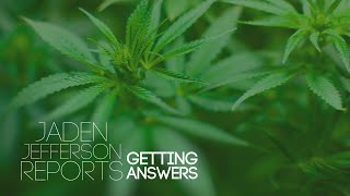 Getting Answers When will recreational weed sales begin in Ohio [upl. by Ilek]