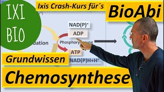 Chemosynthese  Grundwissen und Keywords zum Stoffwechsel chemoautotropher Organismen Bio Abitur [upl. by Lehcer]