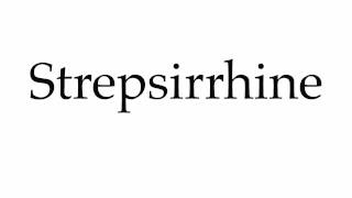 How to Pronounce Strepsirrhine [upl. by Alor]