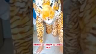 Tiger dress pramodjipappuji001 motihari champaran vlogs [upl. by Hsara]