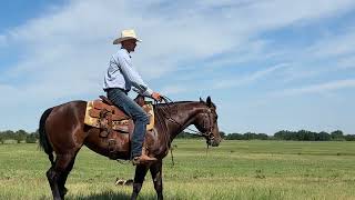 quotHow do I teach my horse to neck reinquot Isaac Johnson with Rockin X talks the basics of neck reining [upl. by Ennayhs]