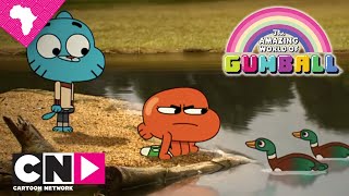 The Amazing World of Gumball  Elmores Tour Elmores park  Cartoon Network Africa [upl. by Llewop49]