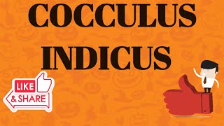 COCCULUS INDICA HOMOEOPATHIC MEDICINEDRUG PICTURE [upl. by Nospmas604]