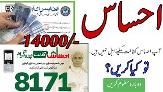 Ehsaas Portal 8171 Ehsaas program registration 2022  Ehsaas Online Registration  Ehsaas 14000 [upl. by Ahtnama463]