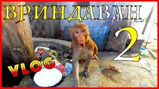 Я оставил свое сердце во Вриндаване ЧАСТЬ №2 VLOG [upl. by Seraphim645]