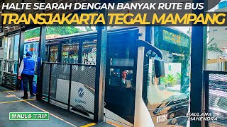 Naik TransJakarta dari Halte Tegal Mampang Titik Awal Sebelum ke Jalur Langit [upl. by Doowyah]