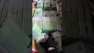 💶€630K Euro Cash Money cash million money eur euro millionaire [upl. by Naerda]