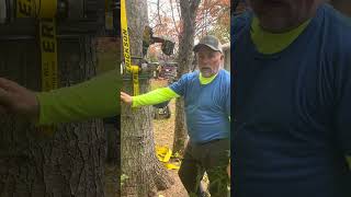 DIY GRCS Arborist Rigging [upl. by Sorilda548]