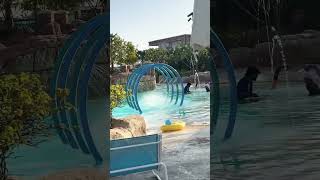 Atlantis Aqua Venture Waterpark dubai shorts mydubai atlantisthepalm aquaventurewaterpark [upl. by Terag]