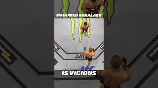 Magomed Ankalaev is a VICIOUS UFC Fighter ufc mma [upl. by Hammond226]