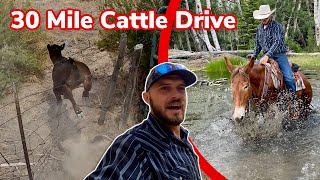 Herding Cattle Isnt Always Easy Vlog 45 [upl. by Loralie491]