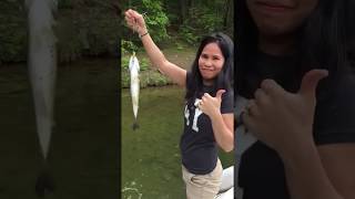 Raystown Lake PA Fishing Bass 2019 [upl. by Airpac]