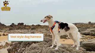 Comfy amp Stylish Dog Harnesses dogcollar harnessdog PetLeashes [upl. by Wolliw]