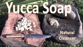 How to Make Yucca Soap Primitive [upl. by Priebe617]