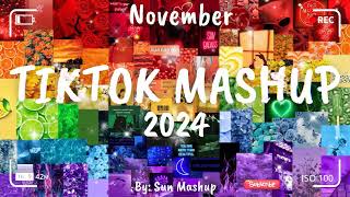 Tiktok Mashup November 💙2024💙 Not Clean [upl. by Annaynek]