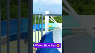 Water Slide Fun  waterparkrides waterslide familyfun fun short waterparkthrill Water Park Fun [upl. by Kilian]