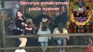 KETIKA EMAK EMAK MULAI NYAWER BANTENGAN mberotbantengan bantenganmalang [upl. by Lynna]