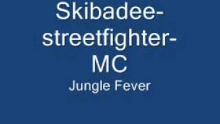 SkibadeestreetfighterMC [upl. by Bosson]