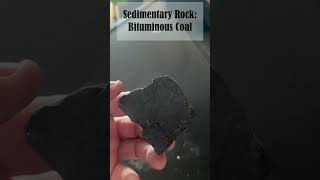 Sedimentary Rock Bituminous Coal [upl. by Alcinia]