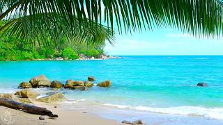 🌴 Tropical Beach Ambience on a Island in Thailand with Ocean Sounds For Relaxation amp Holiday Feeling [upl. by Dulcie]