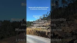 Negative effects of planting pine trees in NZ [upl. by Marilin]