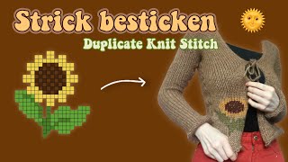 Strick besticken Der MASCHENSTICH Duplicate Knit Stitch 🧶  LOUISENKIND [upl. by Wood335]