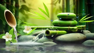 Relaxing Sleep Music  Insomnia Stress Relief Relax Sleep Spa amp Meditation Music Heart Healing [upl. by Htabazile]