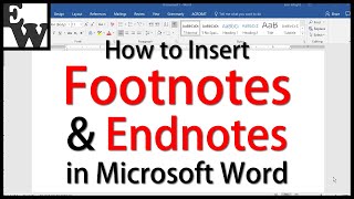 How to Insert Footnotes and Endnotes in Microsoft Word [upl. by Hewie]