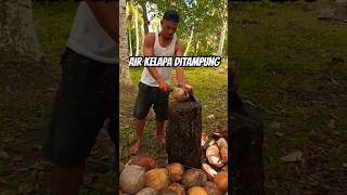 Air Kelapa dikasih wadah penampung kelapa [upl. by Hickey]