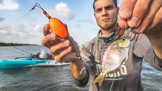 fishing with LIVE PINFISH and popping cork [upl. by Leakim]