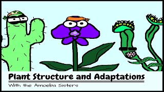 OLD VIDEO Plant Structure and Adaptations [upl. by Nylrahc]