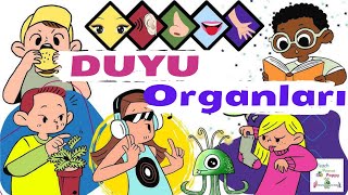 5 Duyu Organımız Çocuk videoları Eğitici çocuk videoları [upl. by Yrkcaz]