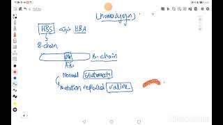 hemoglobin electrophoresis [upl. by Bram436]