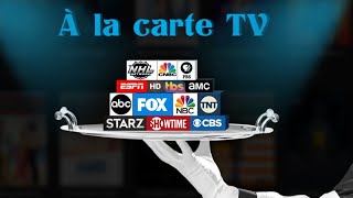 Less expensive A La Carte TV options  Why pay for hundreds of channels you dont watch [upl. by Selassie349]