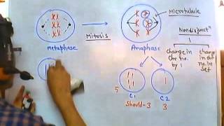 Nondisjunction of chromosome [upl. by Janis]