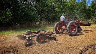 Farmall H pulling 10’ Massey Harris Disc [upl. by Llieno491]