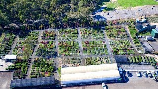 Plantmark Wantirna  Wholesale Plant Nursery Tour [upl. by Letti483]