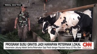 Program Susu Gratis Jadi Harapan Peternak Lokal [upl. by Swinton]