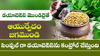 How to Reduce Diabetes Fast  Ayurveda Home Remedies for Blood Sugar  Dr BVR  Nature Cure [upl. by Ainafets664]