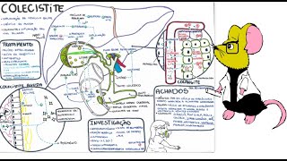 Colecistite e Colangite Patologia complicações diagnóstico e tratamento [upl. by Llenwad]