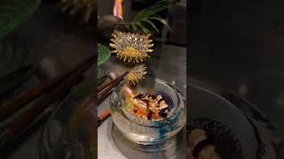 ⭐️⭐️⭐️ Michelin Star Alinea in Chicago IL  Part 4 Worlds Greatest Restaurants shorts food asmr [upl. by Olyhs]