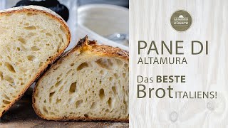 Pane di Altamura SO GELINGT ES  Für mich das BESTE italienische Brot backen  Pane Puglia [upl. by Sucul]