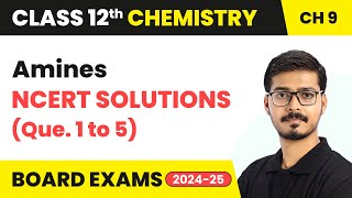 Amines  NCERT Solutions Que 1 to 5  Class 12 Chemistry Chapter 9  CBSE 202425 [upl. by Pen89]